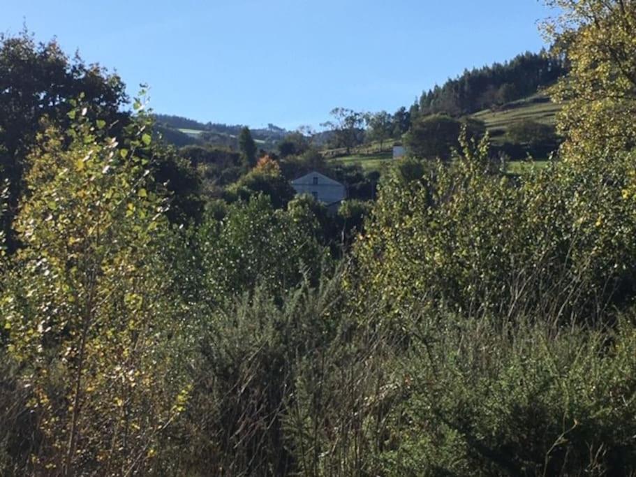 La Flor de Toranzo Vive los Valles Pasiegos Prases Exterior foto